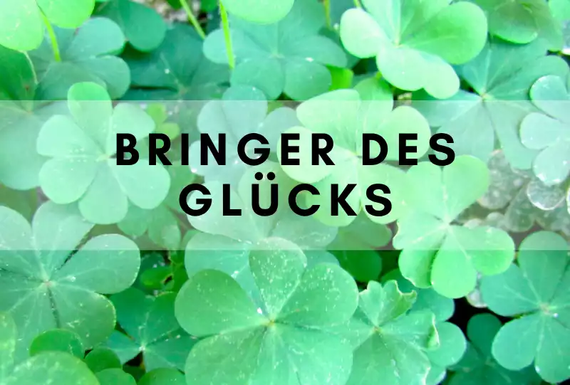 Bringer des Glücks